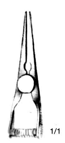 BULLDOG KLEMP DÜZ 3,5CM